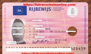 Purchase a Netherlands drivers license.