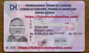 Buy a Swiss driving license.