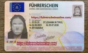 Austria driving license.