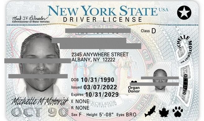 buy new york driver's license
